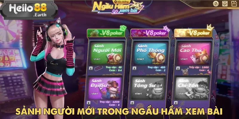 Sảnh Người Mới là điểm khởi đầu lý tưởng cho game thủ Ngầu Hầm Xem Bài